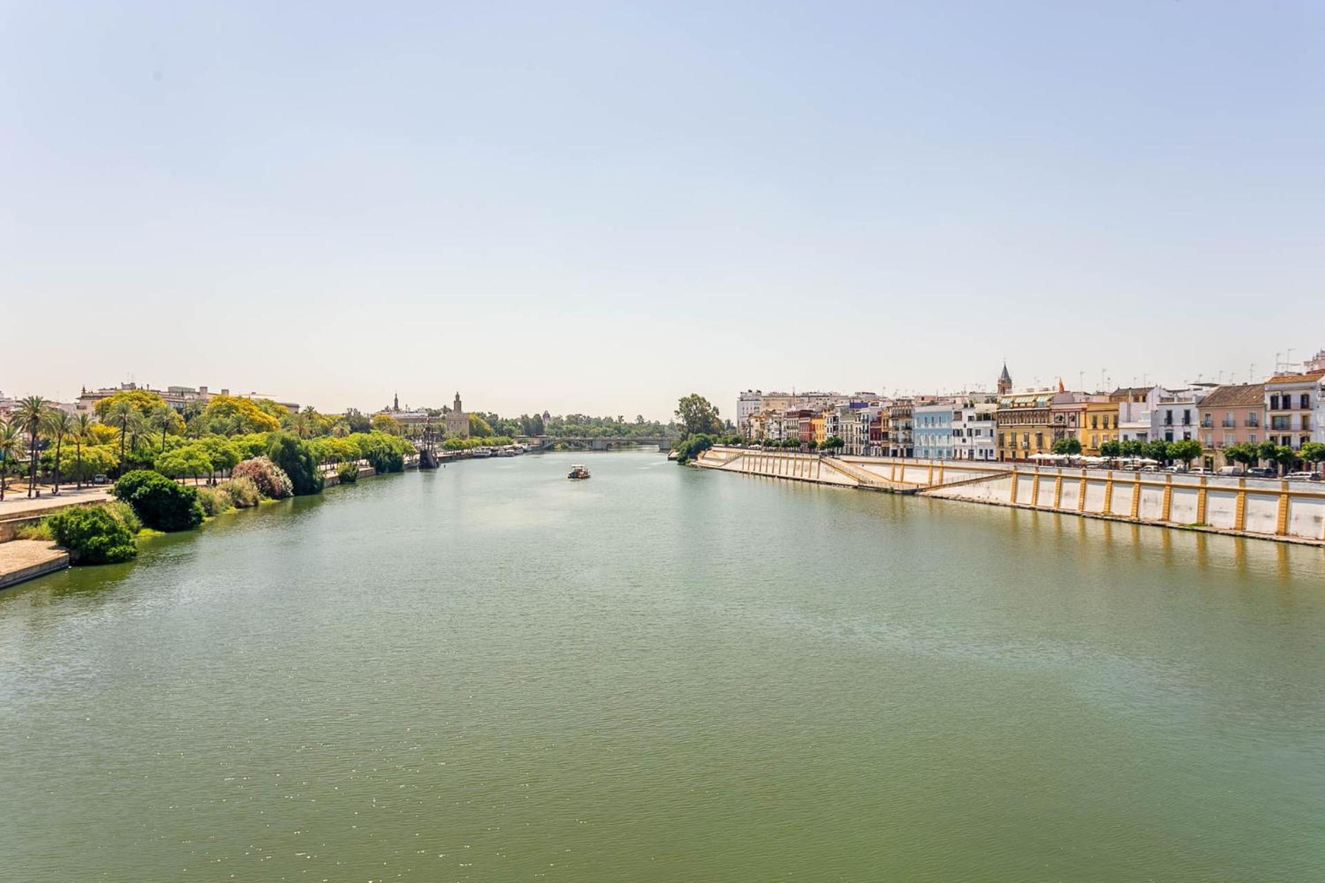 Sunterrace Loft-Triana'S Star, 10' From City Center! Σεβίλλη Εξωτερικό φωτογραφία